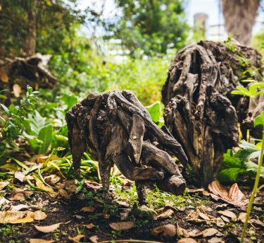 Pig sculptures made of cork oak